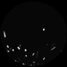Spark level