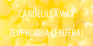 Candelilla Wax Candelilla Wax