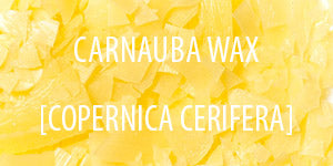 Carnauba Wax Carnauba Wax
