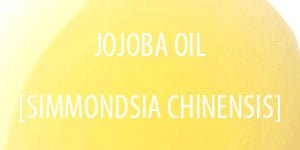 Jojoba Oil Jojoba Oil