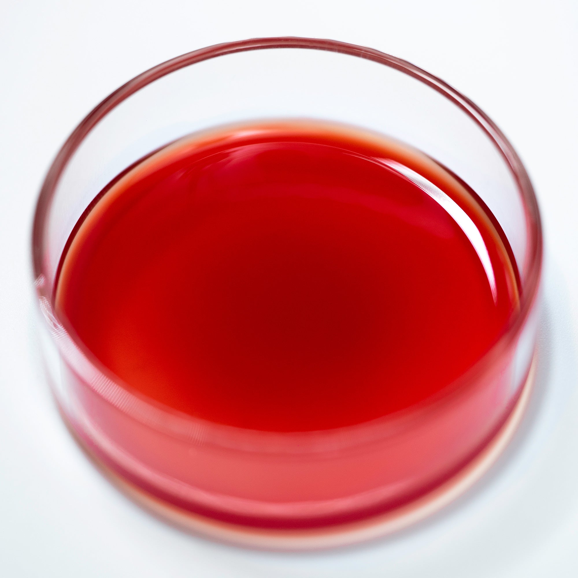 Thorn Potions | Set - Rituel de Fille