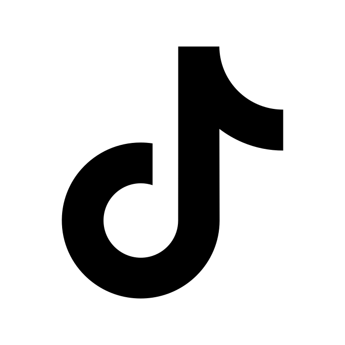 TikTok Icon